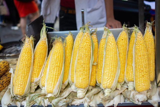 3ª Festa do Milho: comida típica e diversão para toda a família em Lucas do Rio Verde/ MT