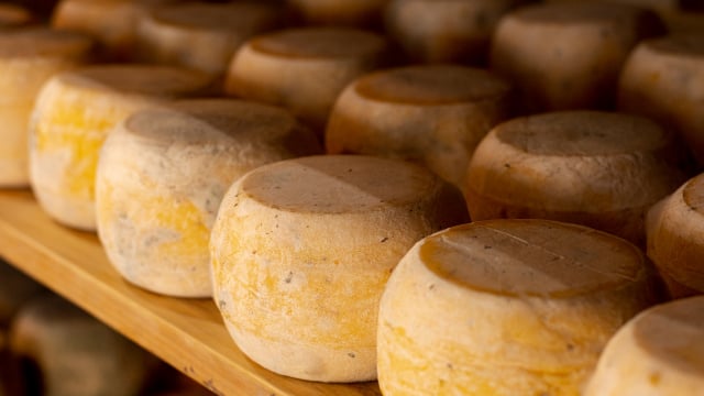 A origem deste queijo é muito antiga é faz parte da cultura alimentar da ilha italiana (Créditos: Magnific)