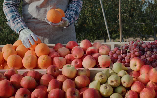 A fruta simples e barata que protege o cérebro, favorece a digestão e faz bem ao coração
