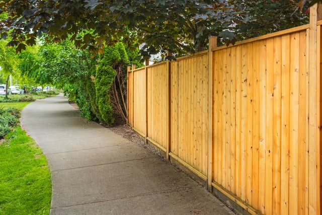 A parede branca e sem graça no quintal está fora de moda: a nova tendência é mais elegante e prática para o seu jardim