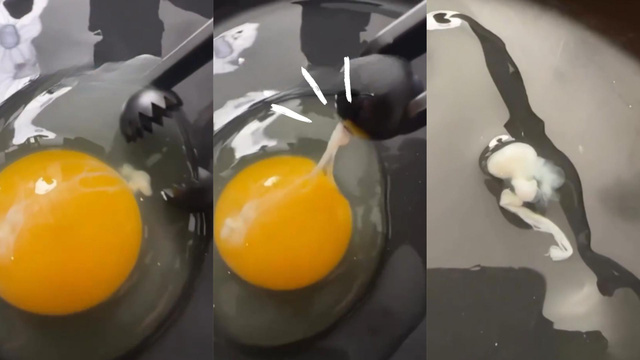 Com quantos você descobriu o que é a parte branca que flutua no ovo?