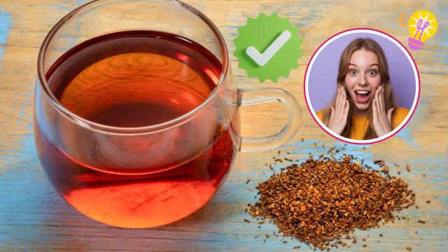 Chá de rooibos: como fazer, efeitos no corpo, possíveis benefícios e por que as mulheres estão interessadas nessa bebida