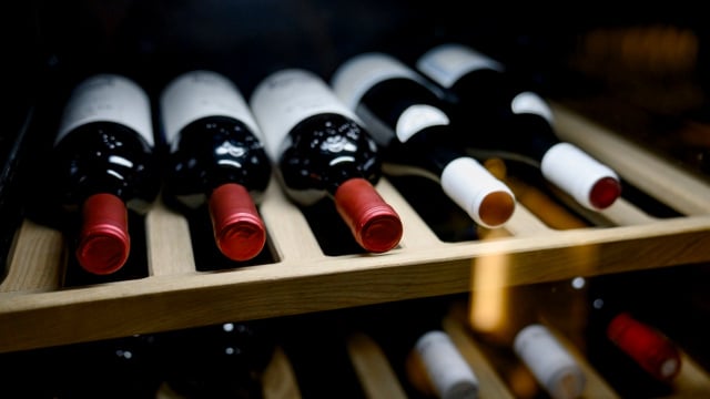 Exclusivo para membros Prime: Vinhos na temperatura perfeita com esta adega climatizada com cupom de R$ 150