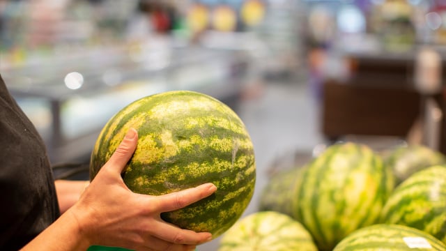 Essas dicas fazem toda a diferença na hora de escolher (Créditos: Shutterstock)
