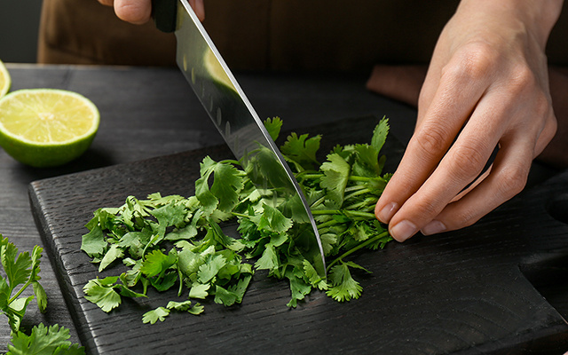TudoGostoso ensina como armazenar coentro para que dure meses ou até anos com métodos superfáceis!