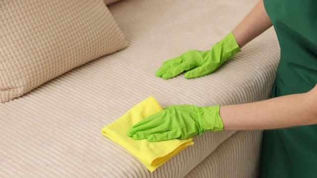 Nunca jogue água diretamente no sofá e evite usar pano encharcado ao fazer a limpeza do estofado (Créditos: Shutterstock)
