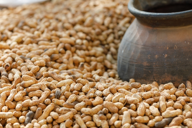 No dia do amendoim, descubra a versatilidade do ingrediente com essas 3 receitas deliciosas para o café da manhã, almoço e lanche