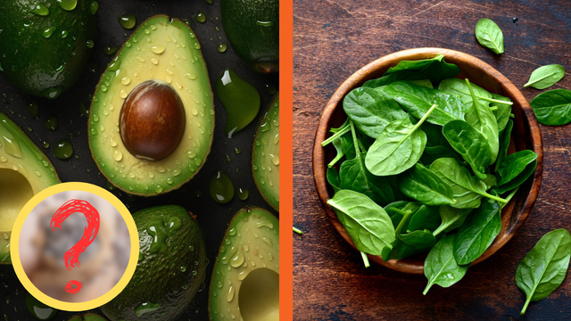 Nem abacate, nem espinafre: essa semente rica em vitamina E melhora a imunidade e a saúde da pele e do cabelo