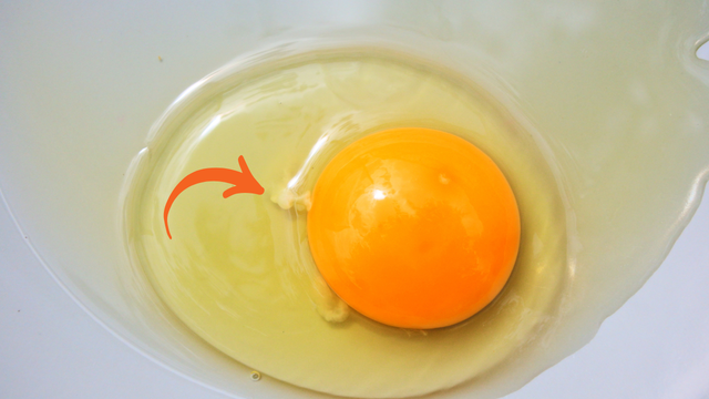 Sêmen de galo ou embrião? Muitas pessoas tiram o fio branco do ovo, mas não é preciso removê-lo e aqui está o motivo