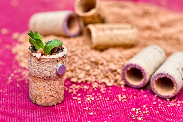 5 ideias de decoração para cozinha usando itens recicláveis