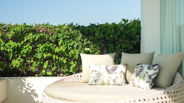 Plantas em vasos altos, que crescem bastante ou formam arbustos trazem um charme extra para a área externa da casa (Créditos: Shutterstock)