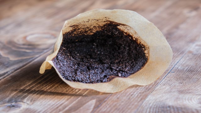 Descartar borra de café usada no vaso sanitário: para que serve e por que é recomendado fazê-lo uma vez por semana