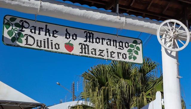 Festa do Morango de Atibaia e Jarinu, em SP, completa 40 anos; entrada é gratuita!