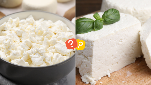 Creme de ricota, requeijão light ou queijo cottage? Veja as diferenças e saiba qual é a melhor opção para o dia a dia