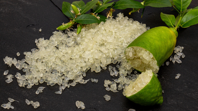 A aparência realmente lembra um caviar. (Créditos: Shutterstock)