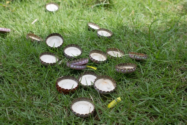 Tampas de garrafa podem salvar a sua horta: aprenda a usar a técnica simples que afasta pragas, lesmas e caracóis da plantação