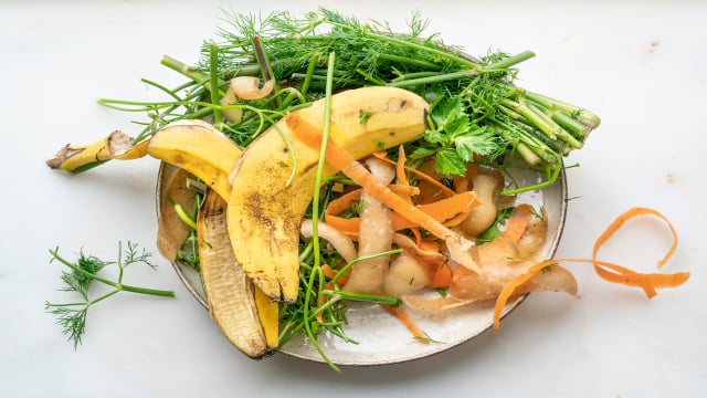 Esse fertilizante caseiro é chamado de “ouro verde” e não leva café nem casca de ovo