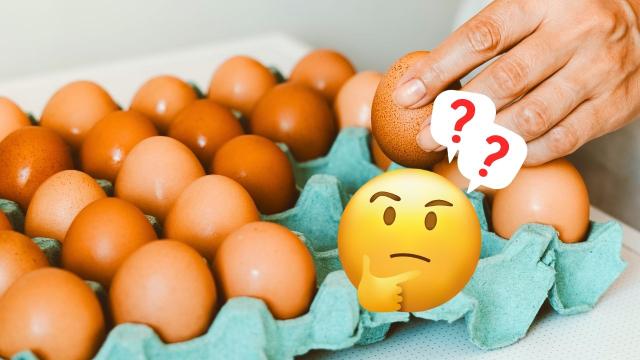 Por que ovo vermelho é mais caro? Tiramos todas as dúvidas sobre esse alimento e dizemos se vale à pena investir!
