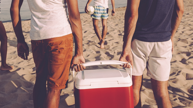 Cerveja gelada na praia? Este é o cooler que todo mundo está comprando para deixar a bebida fria em qualquer lugar