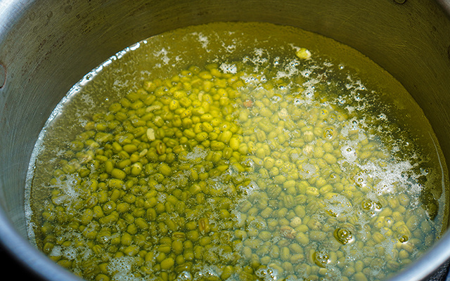 Nem grão-de-bico, nem ervilha: tipo de feijão pouco conhecido é um verdadeiro bálsamo para o coração, intestino e ossos