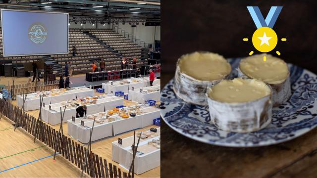 Único queijo brasileiro com “superouro” no World Cheese Awards é de Santa Catarina e não tem lactose