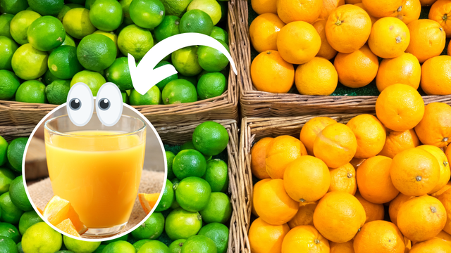 Quanto mais lisa a casca do limão e da laranja, mais suco terão: verdade ou mito? Vem que o TudoGostoso tira a dúvida!