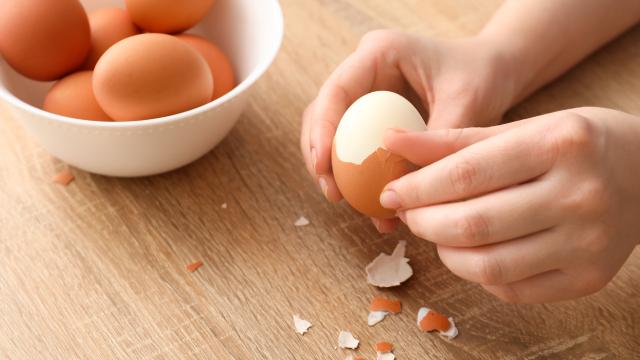 Dieta do ovo é a queridinha do momento entre as famosas e promete resultado milagroso, mas pode oferecer riscos à saúde