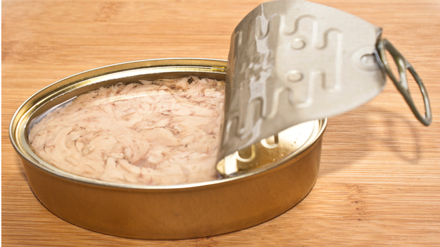 O que fazer com 1 lata de atum: 8 receitas rápidas que rendem pratos fáceis e deliciosos