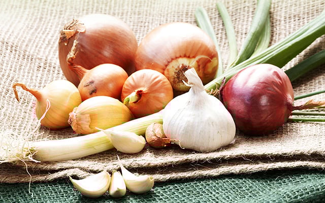 Alho e cebola são primos? Dupla mais popular na culinária possui semelhanças do você nem imagina