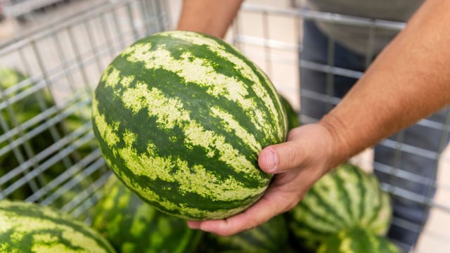 A mancha amarelada que aparece em muitas melancias é um sinal importante sobre o amadurecimento da fruta (Créditos: Shutterstock)
