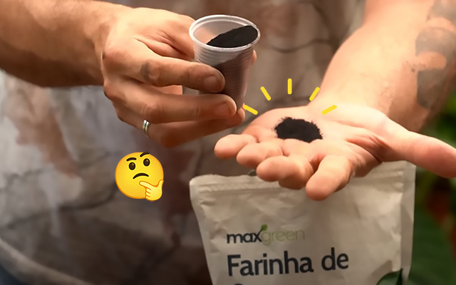 Um copinho desse adubo faz qualquer plantar desabrochar e explodir flores