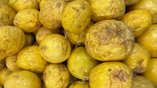 Uma fruta que deve ser consumida murcha: com baixo teor de açúcar, rica em fibras e apelidada de Rainha dos Sucos de Frutas