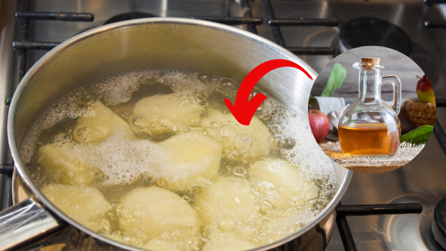 Adicione vinagre à água da batata e veja a mágica acontecer!