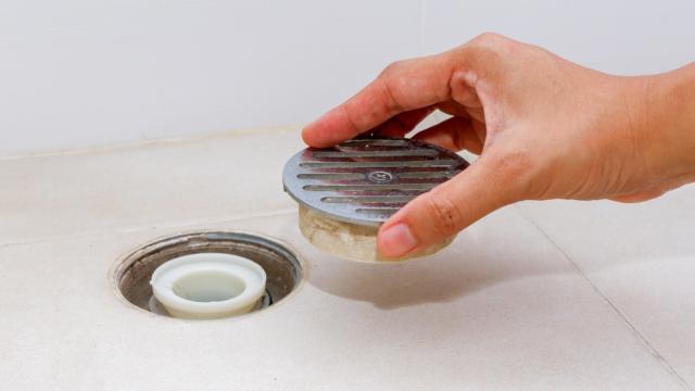 Há 4 anos sofro com cheiro de esgoto no banheiro e não sabia que dava para resolver desse jeito simples que aprendi com um faz-tudo
