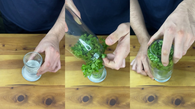 O truque para conservar salsinha está na água (Créditos: reprodução Instagram @zen.m.cook)