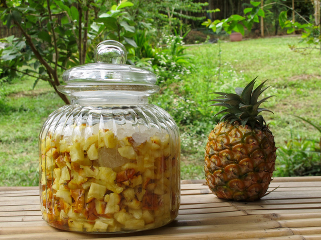 Aprendi como fazer vinagre de abacaxi orgânico com uma enfermeira especialista em fermentação caseira, receita é um verdadeiro tesouro probiótico