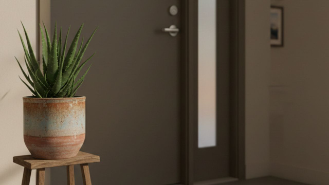 O que significa colocar uma babosa na porta de entrada da sua casa, segundo a tradição chinesa