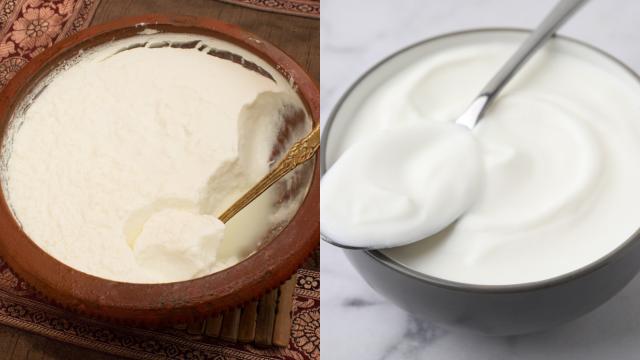 O que tem mais nutrientes: iogurte ou coalhada? Descubra os benefícios e qual é melhor para a sua saúde