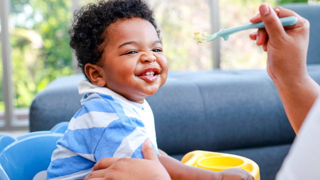 Todos em casa rasparam o prato depois de comer essas 3 receitas de almoço que fiz para o meu bebê