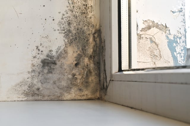 Antes de pintar novamente, vale a pena identificar a origem da umidade. (créditos: Shutterstock)