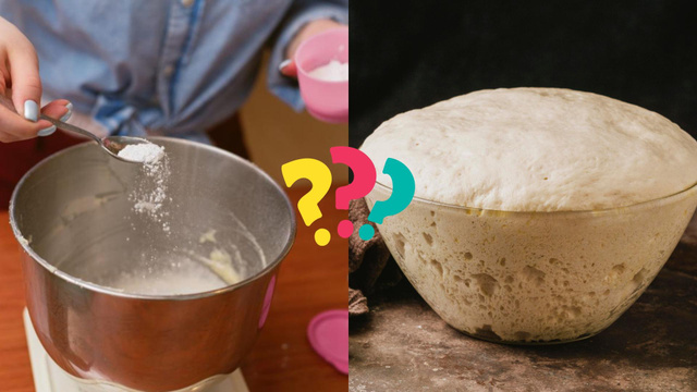 Fermento químico ou fermento biológico: quais são as diferenças na prática e como escolher o certo?