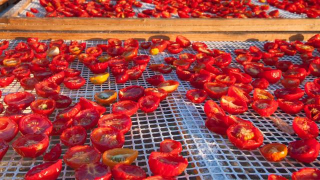 Os benefícios dos tomates secos ao sol e como fazer a iguaria saudável riquíssima em potássio