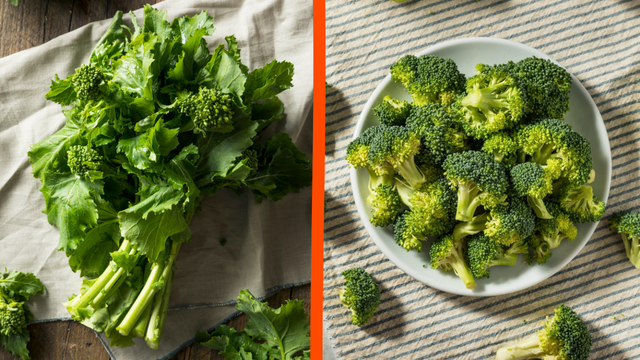 Brócolis ramoso vs brócolis de cabeça: qual é a opção mais saudável?