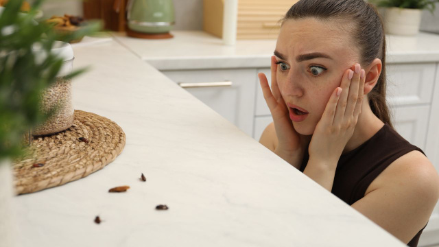 Está aparecendo barata na sua casa por causa do calor? Veja como capturá-las na sua cozinha usando um pouco de vaselina, uma armadilha caseira e eficaz