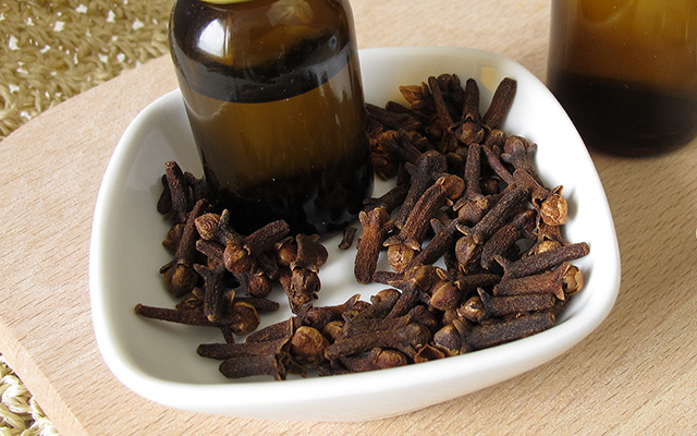 Basta um punhado em um pratinho para proteger a casa inteira contra mosquitos: agora durmo tranquilo e com a janela aberta