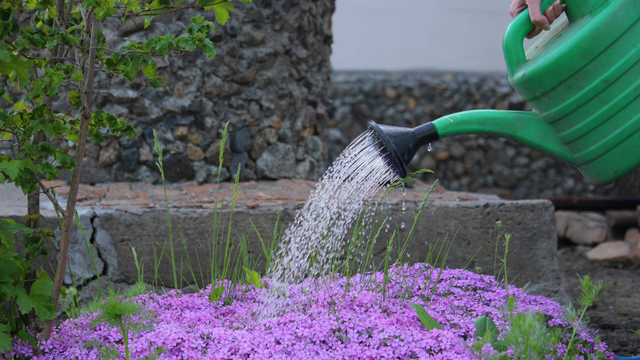 Utilize a água na limpeza, na jardinagem e até em alguns eletrodomésticos. (Créditos: Canva)
