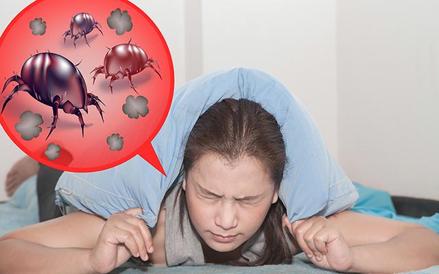 Adeus ácaros e aranhas na cama: o truque caseiro de um especialista em limpeza doméstica é a solução para acabar com esses bichos