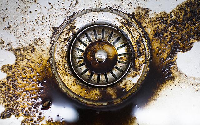 Poucos sabem, mas descartar borra de café na pia é um dos maiores erros cometidos na cozinha
