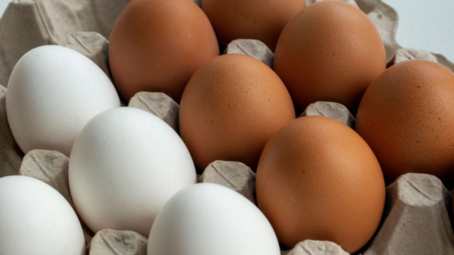 Ovos marrons ou ovos brancos: eis a origem da diferença de cor e por que seus preços variam