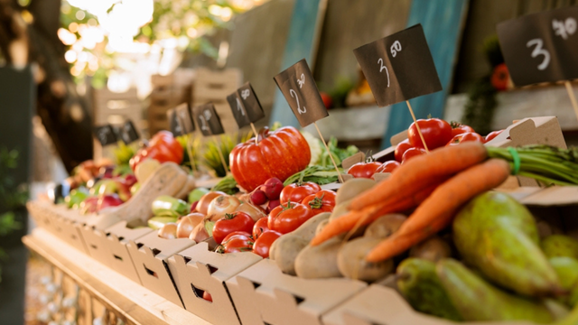Lista de ouro: 10 alimentos com poucas calorias que matam a fome e cabem no bolso do brasileiro